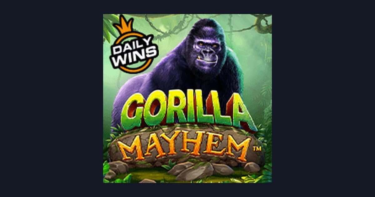 Cara Mudah Menang di Gorilla Mayhem: Tips Jitu Buat Pemula